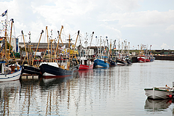 Fischerboote liegen im Hafen von Büsum